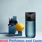 Our impression of Fusion d'Issey Issey Miyake for Men Premium Perfume Oil (6170) Lz